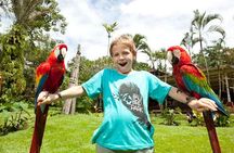 Bali Bird Park Admission Ticket with Hotel Transfer