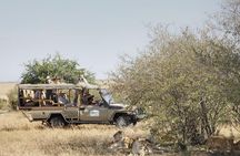 4-Day Nairobi & Maasai Mara Safari 