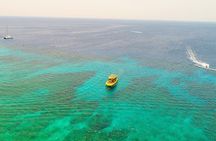 Glass Bottom Boat, Sloth, Monkey Park, Chocolate Factory & West Bay Beach 