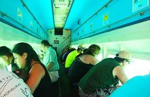 Glass Bottom Boat, Sloth, Monkey Park, Chocolate Factory & West Bay Beach 