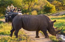 5 day-Kruger National Park Safari from Kruger Int. Airport (KMI), Panorama Route