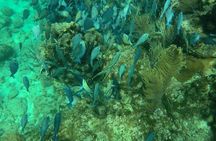 Roatan Jet Ski with Snorkel and Beach