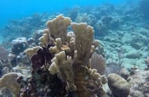 Roatan Jet Ski with Snorkel and Beach