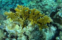 Roatan Jet Ski with Snorkel and Beach