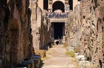 Colosseum Underground, Roman Forum Palatine Hill Small Group Tour