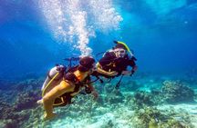 Roatan Scuba Shore Diving plus Transportation