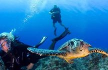 Roatan Scuba Shore Diving plus Transportation