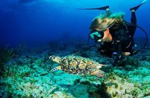 Roatan Scuba Shore Diving plus Transportation