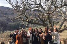 Small Group Wine Tasting in Tuscany with Vineyard Visit
