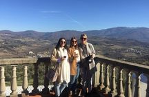 Small Group Wine Tasting in Tuscany with Vineyard Visit