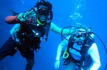 Private Dive Master 1 Tank Dive & Transportation