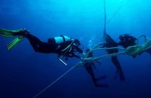 Private Dive Master 1 Tank Dive & Transportation