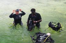 Roatan Reactive-Refresher Dive Course