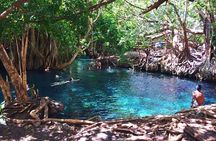 Kikuletwa hot spring and Arusha Cultural Heritage, Full Day Tour 