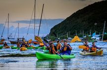  Full-Day Tour: El Yunque, Luquillo Beach, Bio Bay Night Kayaking