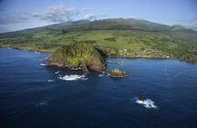 Road to Hana Luxury Limo-Van Tour with Helicopter Flight