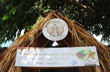 Mega Excursion Zipline, Sloths & Monkeys, Chocolate Factory, Beach & Shuttle