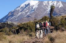 6 Days Marangu Route Mount Kilimanjaro Climb for Leisure