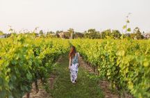 Niagara Falls Day Tour from Toronto Airport