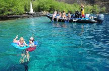 Kealakekua Bay Snorkeling Tour - 4 hour Kona Zodiac Adventure