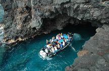 Kealakekua Bay Snorkeling Tour - 4 hour Kona Zodiac Adventure
