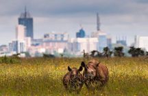 Early Morning Half Day Mini Safari To Nairobi National Park