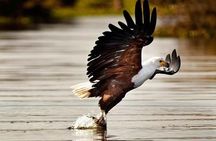 Private Tour to Mount Longonot and Optional Boat Ride on Lake Naivasha