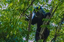 Overnight to Aberdares National Park