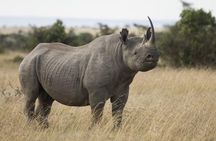 Day Tour to Ol Pejeta Conservancy