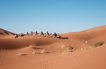 Camel Riding In Dubai Desert