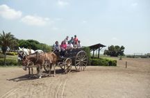 The Most Traditional Fiesta Gaucha in Buenos Aires 