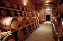 Mendoza Wine Route A Full Day Private Excursion