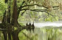 MIAMI: Everglades Airboat, Wildlife Gator Show and Photo 