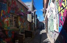 Valparaiso & Viña Del Mar, Museum & Lunch FROM STGO. Private Tour