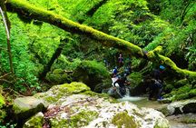 Canyoning sensation of Angon on the shores of Lake Annecy