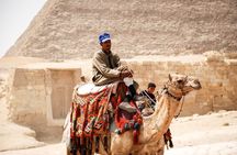 Pyramids of Giza &Sphinx – Museum – Nile Felucca Tour 