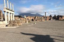  Pompeii Private Tour with Expert Guide 