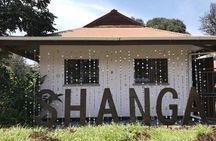 24 Hours in Arusha—Arusha Museum, Cultural Heritage, Maasai Market, Shanga
