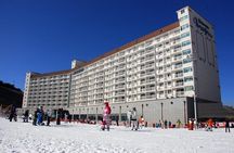 Eden Valley Resort Winter Ski Snowboard Sled Day Tour from Busan