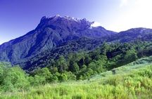Kinabalu Park & Poring Hot Springs Tour with Desa Dairy Farm