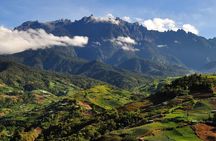 Kinabalu Park Tour with Desa Dairy Farm & Poring Hot Springs