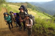 3-Day Chiang Dao Mountain Trek