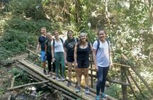 Doi Inthanon Private Tour with Trek & Lunch from Chiang Mai