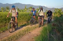 Cycling tour and Buatong waterfall