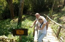 Doi Suthep Temple and Bau Thong Waterfalls Private Tour