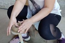 Grand Canyon Chiang Mai Private Tour with Pottery Village
