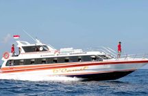 Full-Day Combo Tour To Nusa Penida Bali
