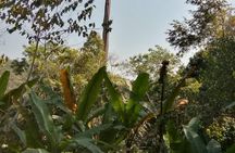 Hiking and Zipline Private Tour from Chiang with Karen Village