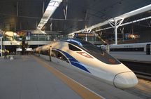 Private Day Trip to Terracotta Army from Beijing by Bullet Train