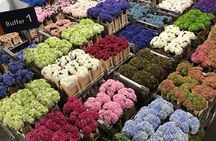 Keukenhof 2025 Private Floral Tour